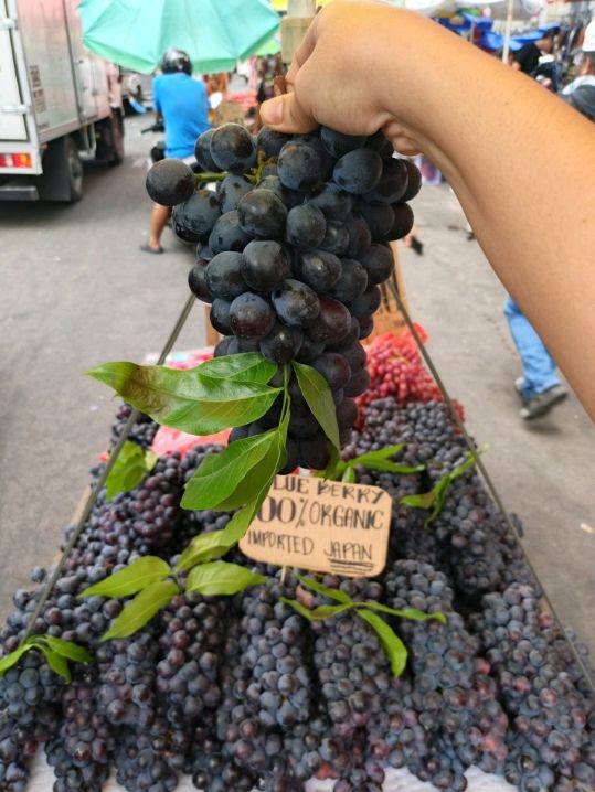 Manila trip from Makati-Divisoria/Quiapo-BGC/Tuscany Mckinley