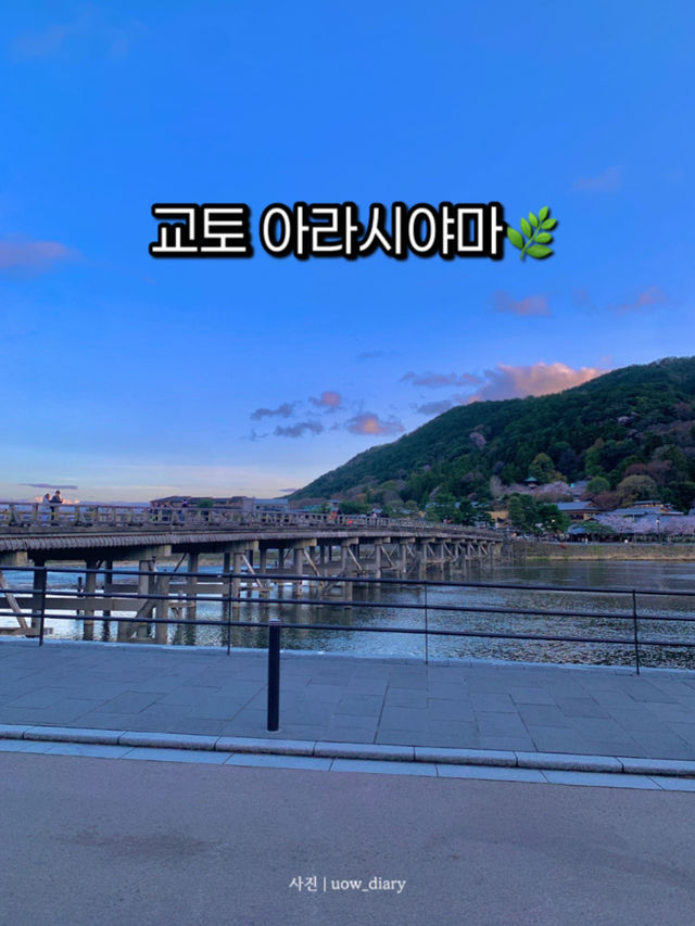 교토 아라시야마, 자연과 전통의 완벽한 조화 🍃