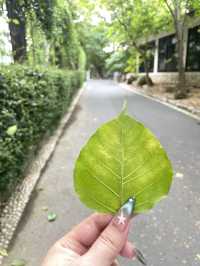 สถานที่ปฎิบัติธรรมจังหวัดสระบุรี วัดเขาวง
