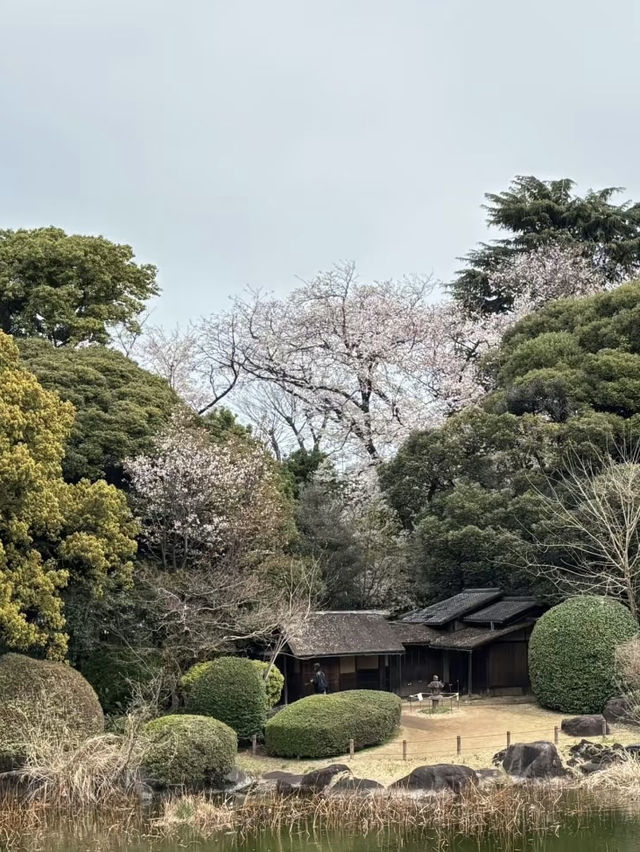 A Cultural Expedition in Ueno – Tokyo National Museum