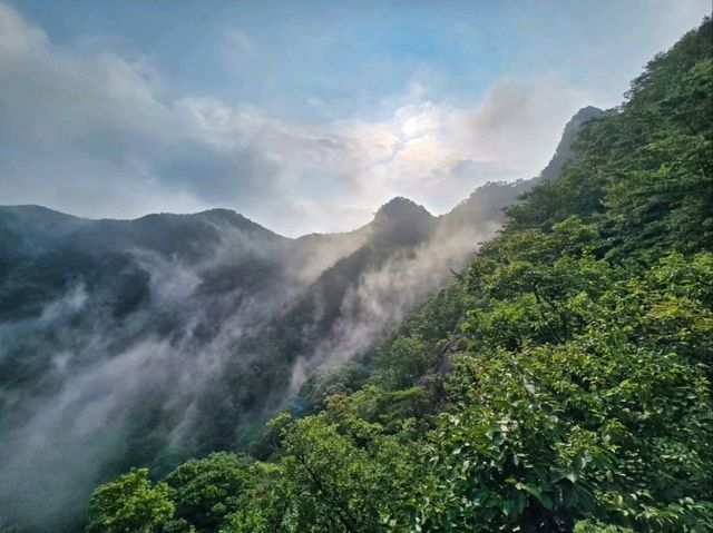 Forest Trails and Heroic Views in Wanju