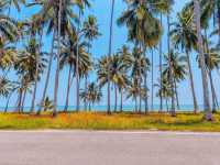 หาดทรายรีสวี: เสน่ห์เรียบง่าย 🏝️