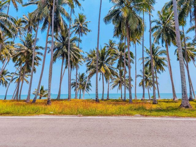 หาดทรายรีสวี: เสน่ห์เรียบง่าย 🏝️