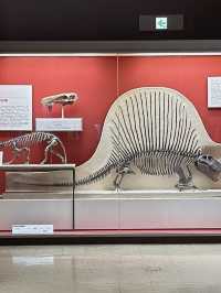 A Deep Exploration of Nature – My Visit to the Osaka Museum of Natural History 🦕