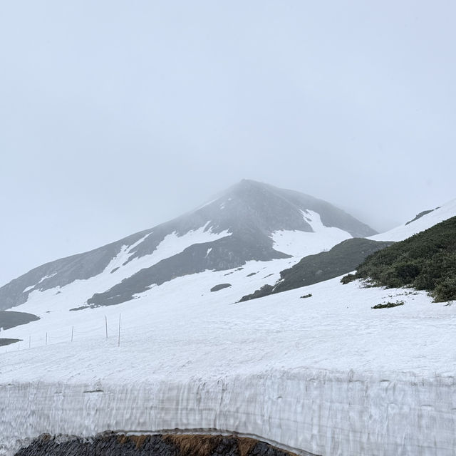หิมะครั้งแรกของฉัน ณ กำแพงหิมะ Murodo Snow Wall 
