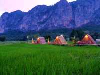 🌾 นอนฟิน กินหมูกระทะ กลางทุ่งนาเขียว 🍃