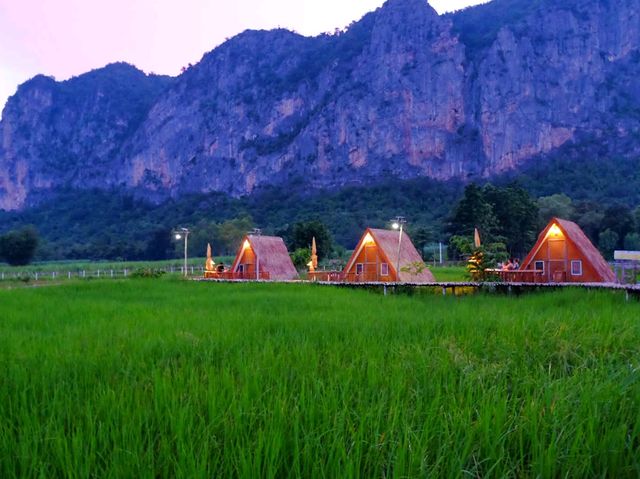 🌾 นอนฟิน กินหมูกระทะ กลางทุ่งนาเขียว 🍃