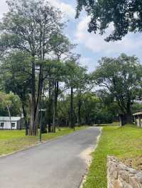 【桃園南昌森林運動公園｜小孩放電＋親子散步＋毛孩友善，一次滿足】