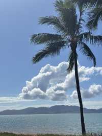 Picnic spot , the strand (Townsville, qld) 🇦🇺