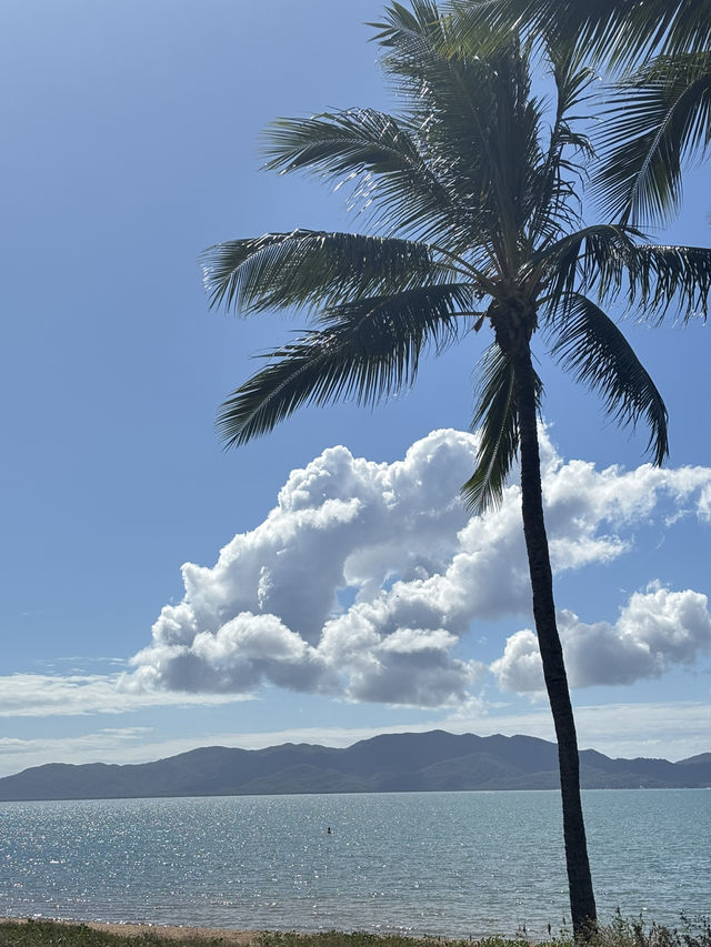 Picnic spot , the strand (Townsville, qld) 🇦🇺