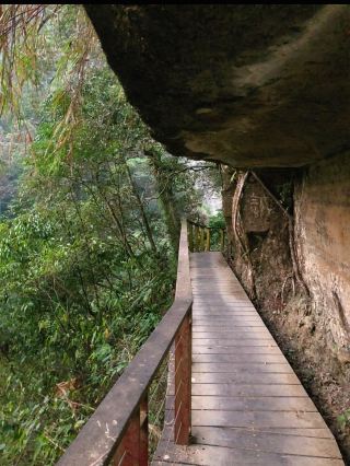 🌲嘉義梅山秘境｜竹坑溪步道：瀑布、吊橋、水濂洞，一次滿足森林系的冒險魂！