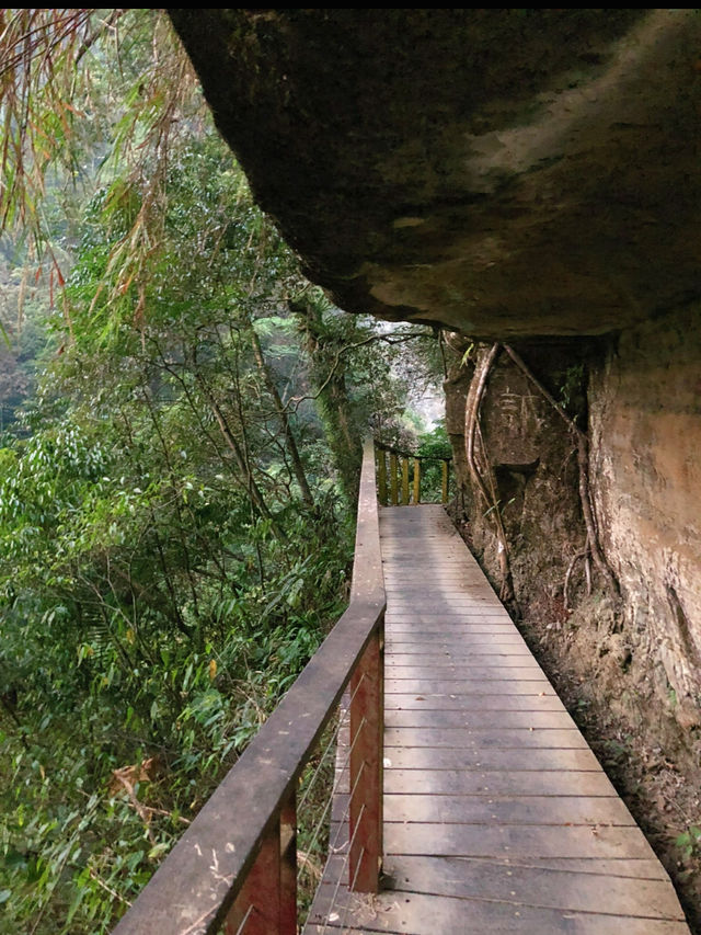 🌲嘉義梅山秘境｜竹坑溪步道：瀑布、吊橋、水濂洞，一次滿足森林系的冒險魂！