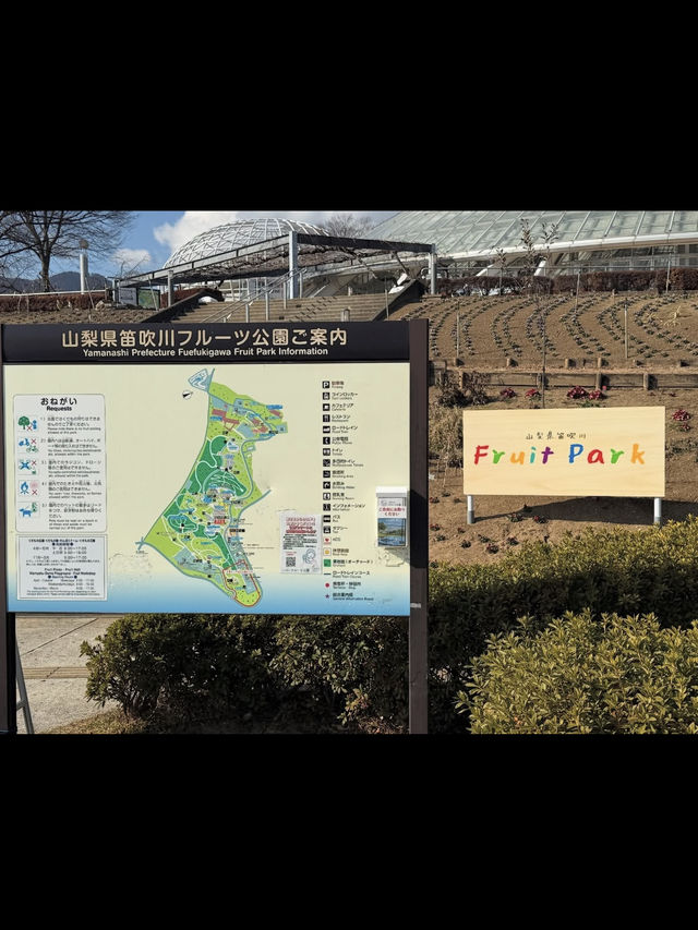 ❄️夏でもひんやり！神秘の洞窟・富岳風穴で非日常体験🌋