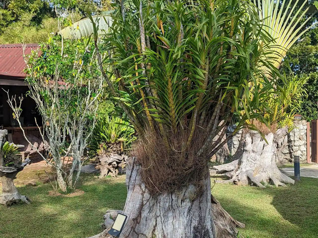 Singgahsana Villa Langkawi