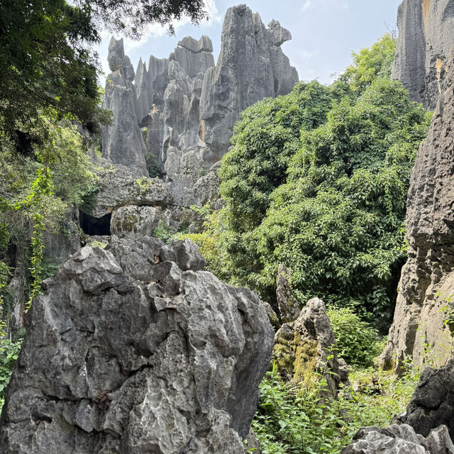 Kunming in 4 Days: Streets to Stone Peak