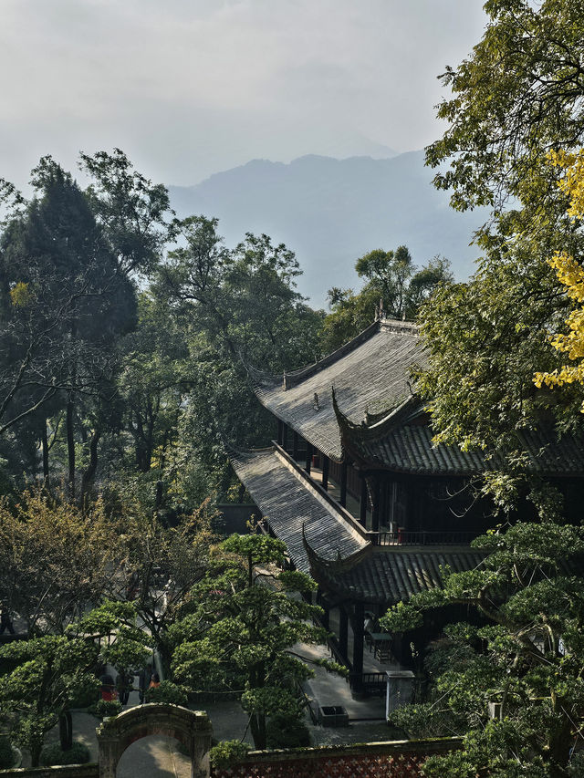 🏔️ Ultimate Dujiangyan Adventure: Your Complete Guide to Chengdu's Ancient Engineering Marvel! 🌊