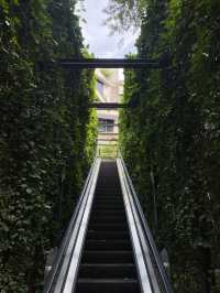 Lost in Aesthetic Jungle: My Soft-Urban Escape at Tamarind Square, Cyberjaya