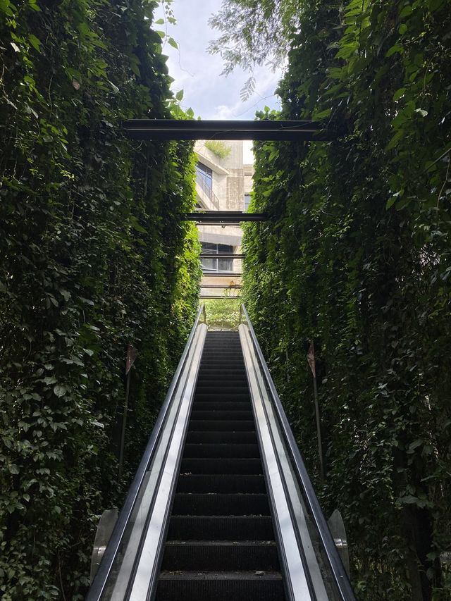 Lost in Aesthetic Jungle: My Soft-Urban Escape at Tamarind Square, Cyberjaya