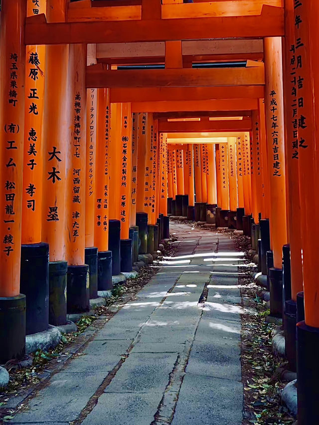 โอซาก้า🇯🇵