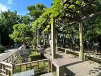 🌸 Lingering Garden 留园 — Grace, Balance & Jiangnan Beauty