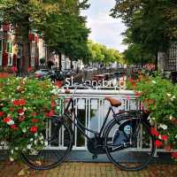 🧀🌷 Gouda Summer Guide: Cheese, Canals & Hidden Courtyards