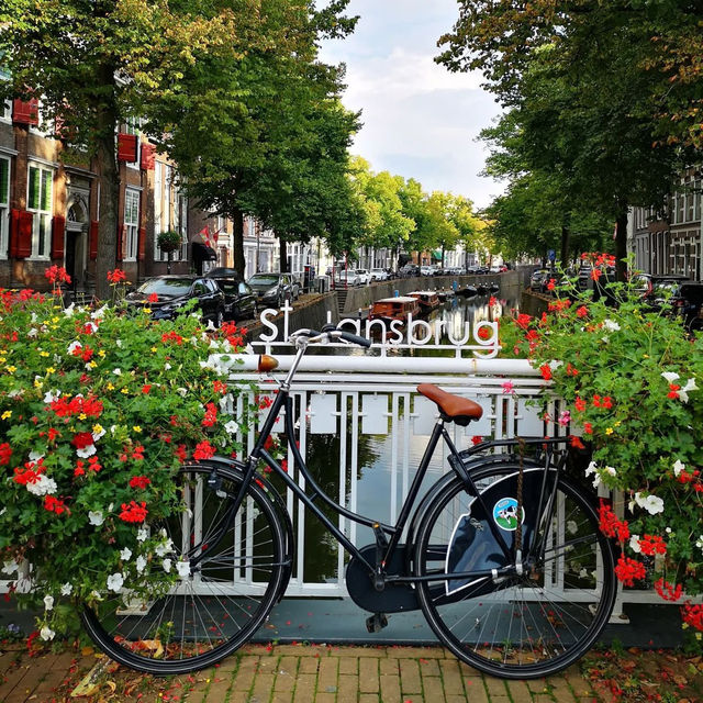 🧀🌷 Gouda Summer Guide: Cheese, Canals & Hidden Courtyards