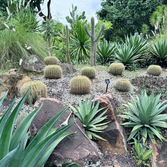 A Green Getaway in the Heart of the City 🇸🇬
