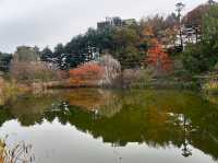 【波士頓的四季詩篇｜Arnold Arboretum 遊記】