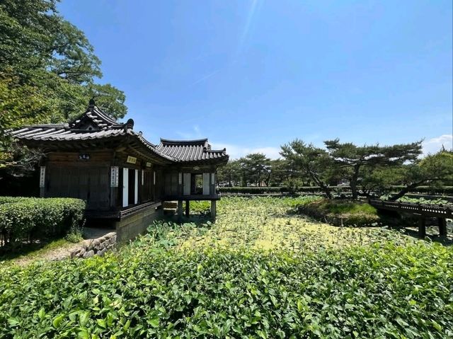 Temple Vibes & Beach Breezes at Gangmun’s Anmok Beach