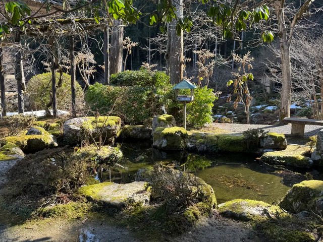 Wakasa Myōtsū-ji: A Journey to an 800-Year-Old National Treasure by Local Bus! 🚌🏯
