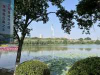 🌸 Exploring the Jiangnan Region – Nanjing, Wuxi, Suzhou & Shanghai in 6 Days!
