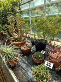 University of Leicester Botanic Garden