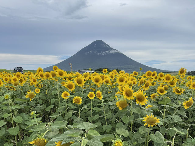🌻鹿児島の自然を堪能できるスポット🌻