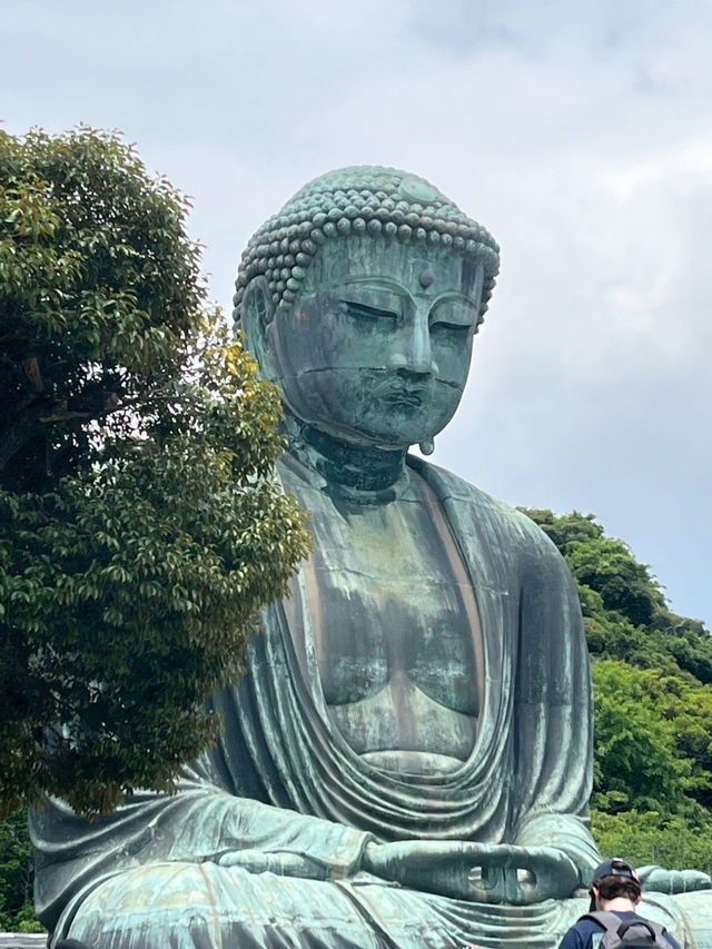 佛也太大了吧！？鐮倉大佛震撼登場🔥