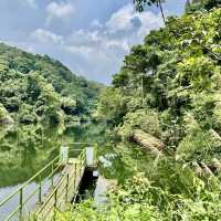 石龜坑山古道巡禮