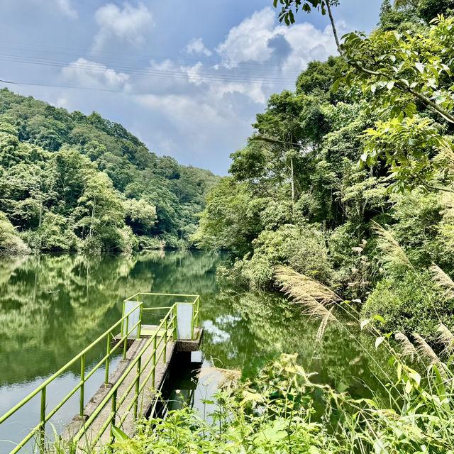 石龜坑山古道巡禮