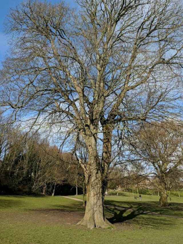 Queen's Park