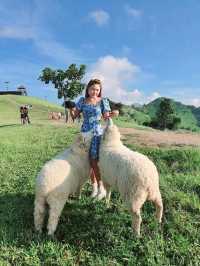 Akha FarmVille ดอยช้าง เชียงราย