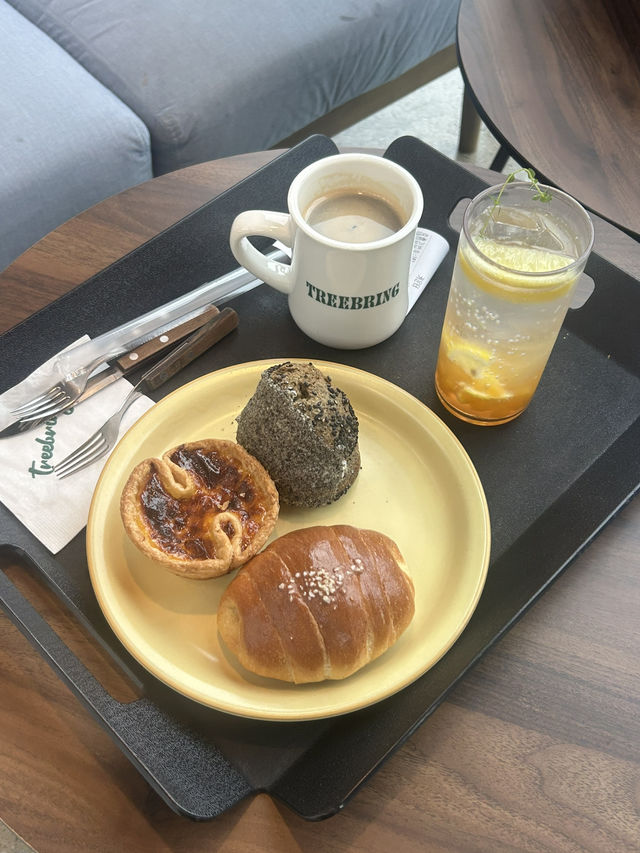 🌲 숲 속같은 플렌테리어 카페! 🤍 카페 트리브링