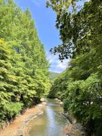 상소동 산림욕장에서 여름을 보내요🌿