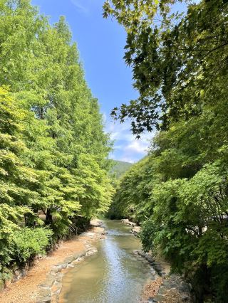 상소동 산림욕장에서 여름을 보내요🌿