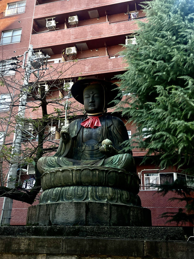 시부야‧신주쿠 번화가 바로 옆 숨은 사찰, 太宗寺 산책기