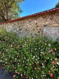 Fondation Monet, Giverny – Stepping Into an Impressionist Masterpiece