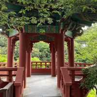 Summer Serenity at Yong Yeonjeong Garden