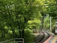 Eizan Electric Railway: My Journey on the "Train to the Green Forest"! 🌳🚃