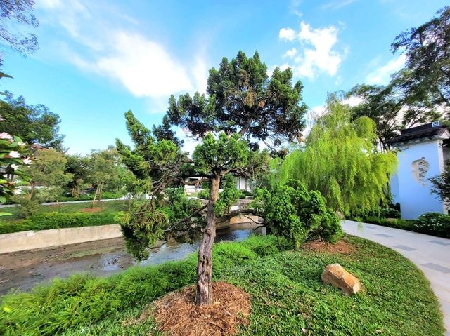 Whispers of Zen in the Heart of Singapore (Bonsai Garden)