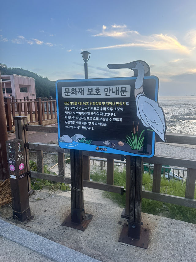 강화도 장화리 해넘이 마을, 감성 가득한 낙조 풍경 강화도 장화리 해넘이 마을, 감성 가득한 낙조 풍경
