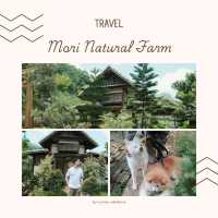 Mori Natural Farm เชียงใหม่ 🌿🏡