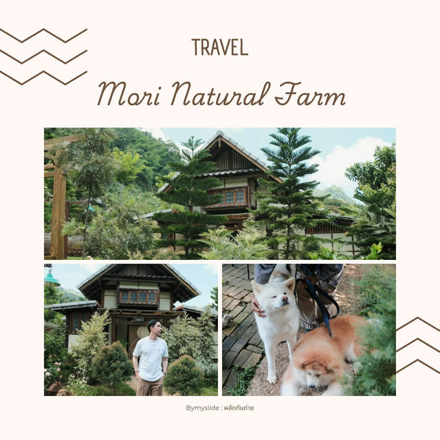 Mori Natural Farm เชียงใหม่ 🌿🏡