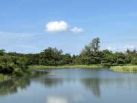 台東森林公園